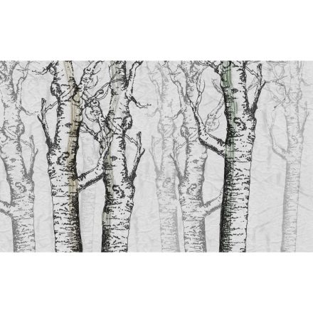 Skinwall -04A