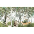 360° EVOLUTION PANELS - Fable 10135