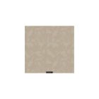 Munira - Egyszínű bézs tapéta 102302-3