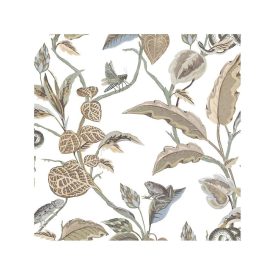 Botany - Botanica tapéta 15506