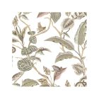 Botany - Botanica tapéta 15507