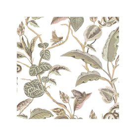 Botany - Botanica tapéta 15507