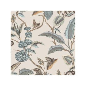 Botany - Botanica tapéta 15508