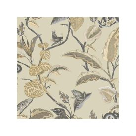 Botany - Botanica tapéta 15509