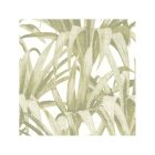 Botany - Esotica tapéta 15525