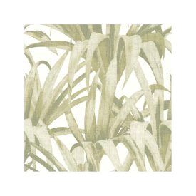 Botany - Esotica tapéta 15525