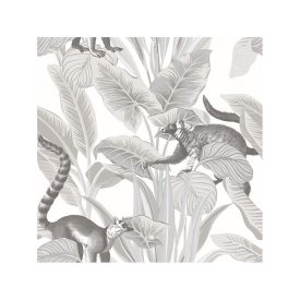 Botany - Lemuri tapéta 15531