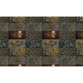 Skinwall - 701 - Anatomia del cosmo