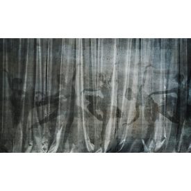 Skinwall - 709A - On the Stage