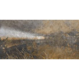 Skinwall - 716A - After storm