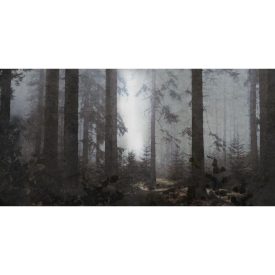 Skinwall - 717 -Sound of silence