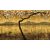 Skinwall - 734A - Orinetal