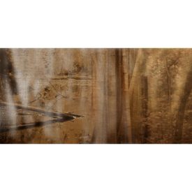 Skinwall - 737A - Kyoto