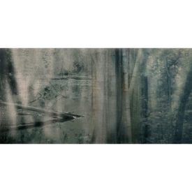 Skinwall - 737B - Kyoto