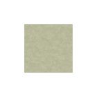 Arboretum - Zöld egyszínű tapéta 91733