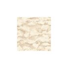 Arboretum - Felhős bézs tapéta 91770