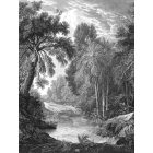 Feature Walls - Rejtett folyó tapéta  2,12x2,8m  