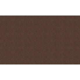 Skinwall - WV4007B-Spice