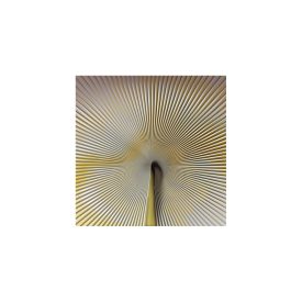 Trussardi 7 - Panel Z18991